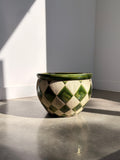 Green and cream harlequin ceramic pot front view