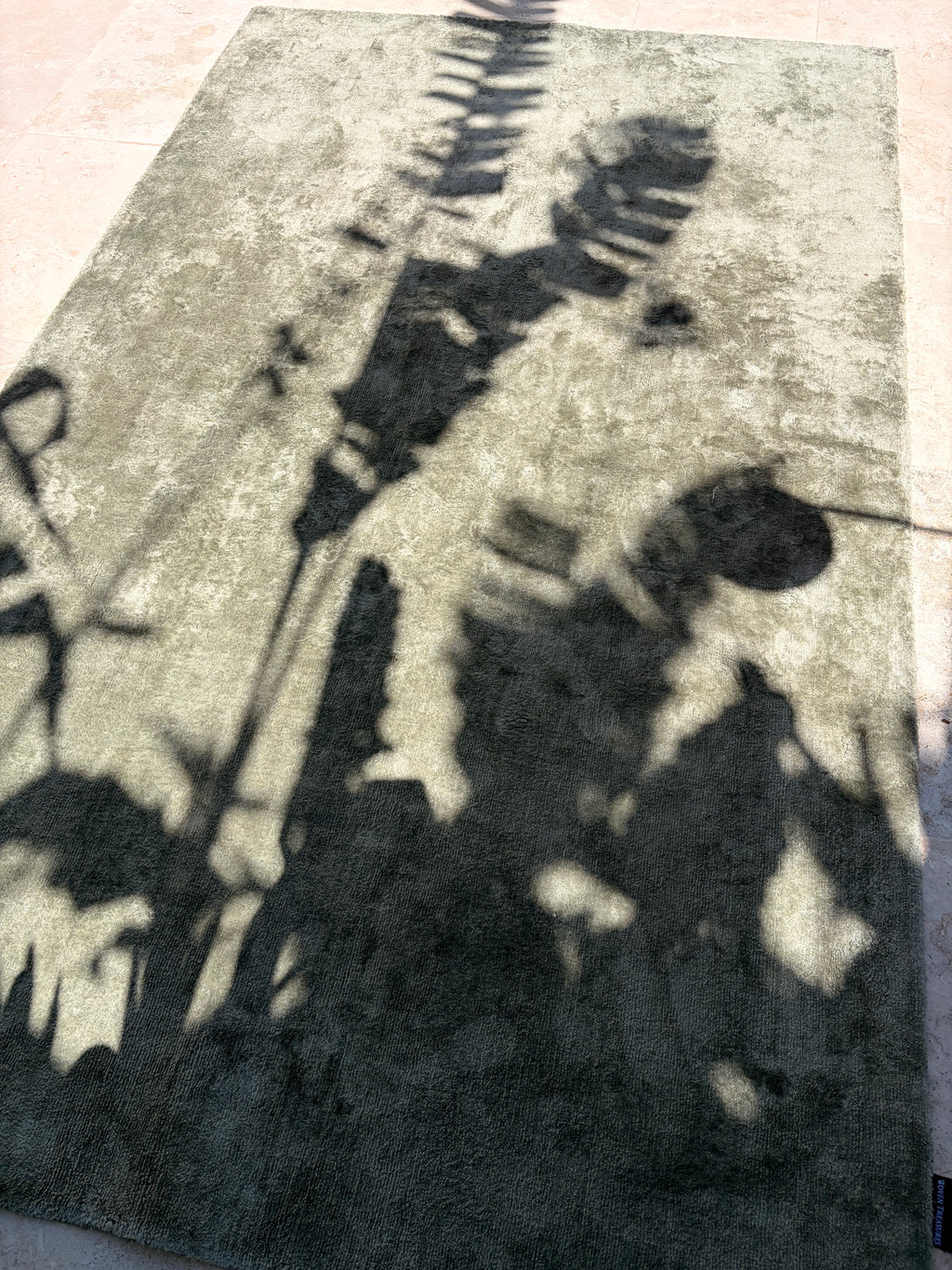 Full-length view of sage-grey rug with plant shadows