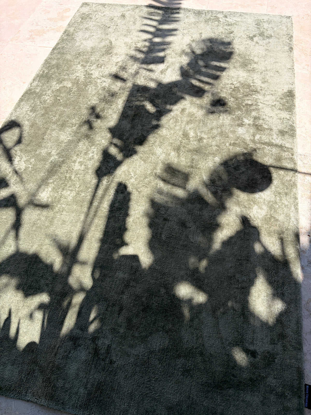 Full-length view of sage-grey rug with plant shadows